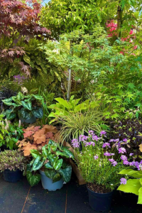 Pourquoi acheter ses plantes chez un pépiniériste ? 